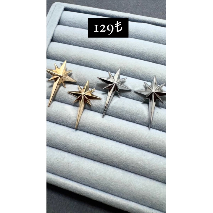Kutup Yıldızı Küpe