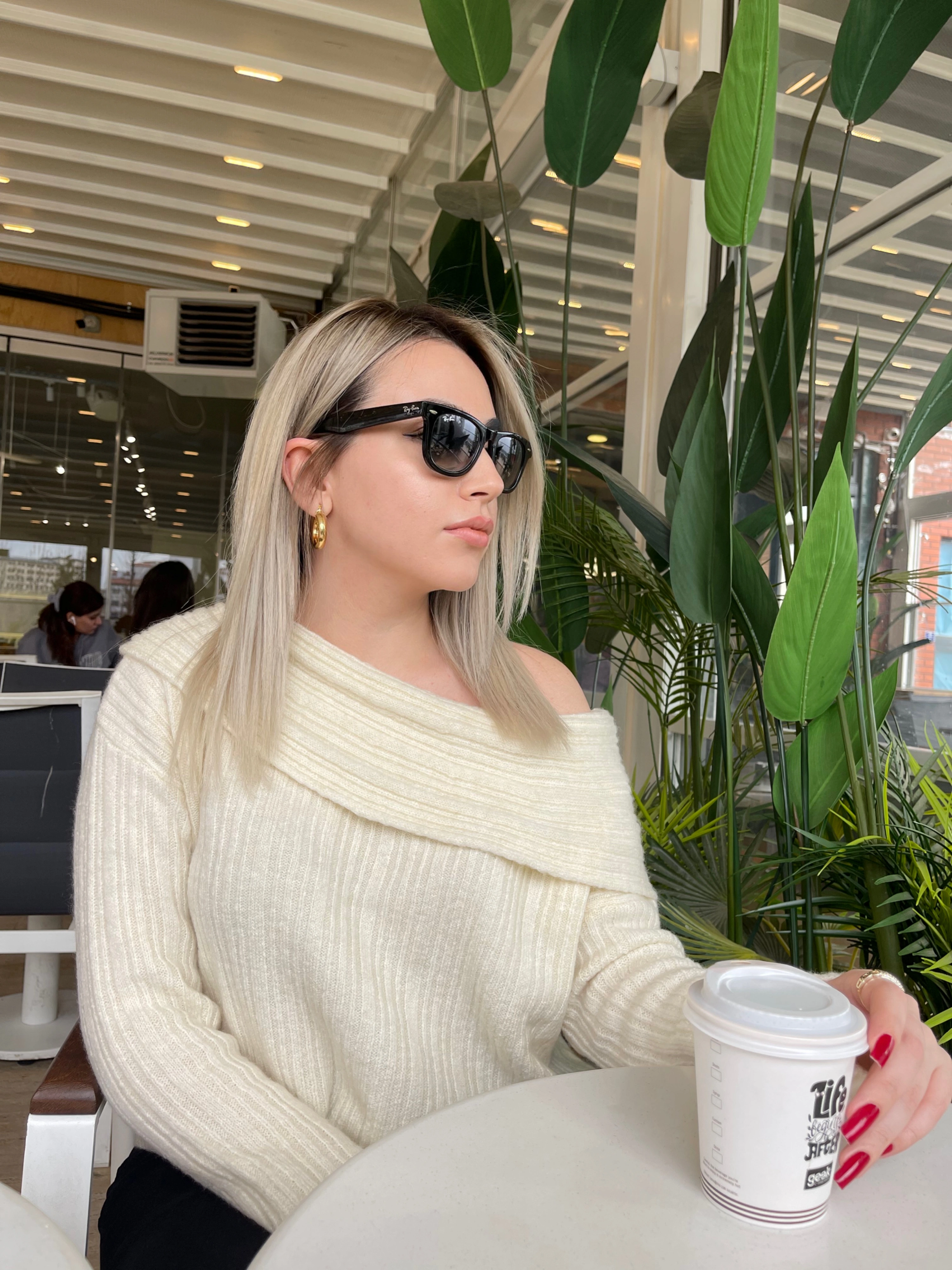 RB Wayfarer Güneş Gözlüğü