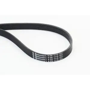 CONTITECH V Kayışı (6PK 1715 /klimali) - Ford