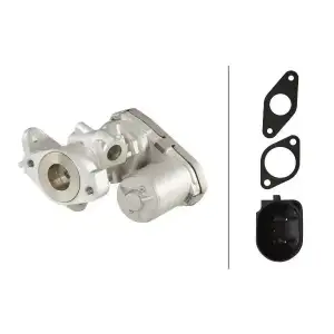 HELLA EGR Valfi (Kuru) - Peugeot / Citroën / DS 6NU 010 171-461