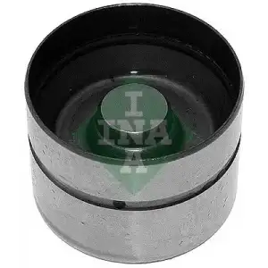 INA Supap Iticisi (265427) - VW Grubu (VW/Audi/Seat/Skoda) 420 0043 10