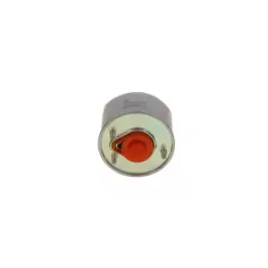 BOSCH Yakıt Filtresi (DV6 Euro 5) - Ford F026402864