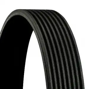 CONTITECH Kanallı V Kayışı (8PK 1550) - Ağır Vasıta