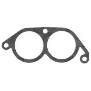ELRING Manifold Contası Emme (705.617) - BMW / Mini