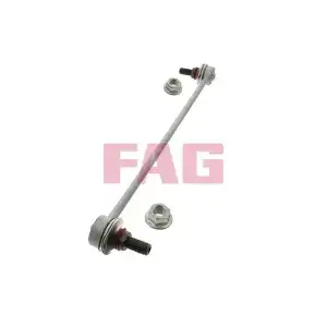 FAG Viraj Askı Rotu Ön (818 0184 10) - Opel