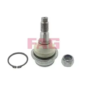 FAG Rotil Üst - VW Grubu (VW/Audi/Seat/Skoda) 825 0147 10