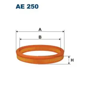 FILTRON Hava Filtresi (AE 250) - Ford