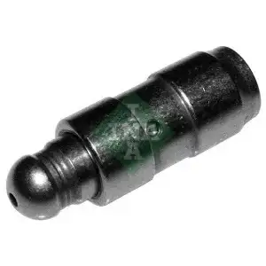 INA Supap Iticisi (Itecek Kadehi) (420 0172 10) - VW Grubu (VW/Audi/Seat/Skoda)