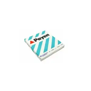 PAYEN Silindir Kapak Contası (124.474) - VW Grubu (VW/Audi/Seat/Skoda) PAY AC5220