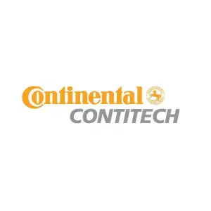 CONTITECH V Kayışı (10X1013) - BMW / Mini