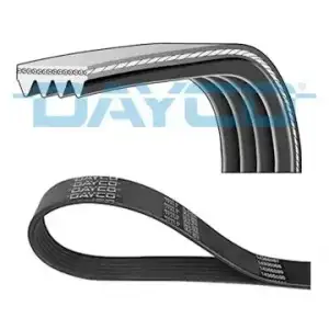 DAYCO V Kayışı (4PK930) - Japon Araçları