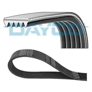 DAYCO V Kayışı (5PK1815) - Fiat / Alfa / Lancia