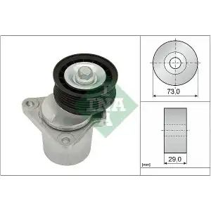 INA V Kayış Gergisi Komple (534 0128 20) - Ford