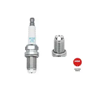 NGK Buji (0242229613) - VW Grubu (VW/Audi/Seat/Skoda) NGK 2890