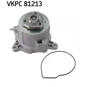 SKF Devirdaim (980294 / P656) - VW Grubu (VW/Audi/Seat/Skoda) SKF VKPC 81213