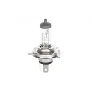 BOSCH Ampul (1987301040)
