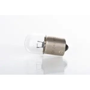 BOSCH Ampul (Plaka Ampul) 1987302510