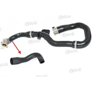 IBRAS Turbohortumlari (Turbohoses) (21348) - Opel