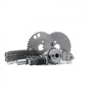 BORGWARNER Eksantrik Zincir Seti (8 Parça) - Fiat / Alfa / Lancia BRW 59007150002