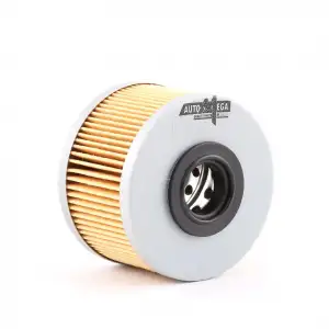GOODYEAR Yakıt Filtresi (Mazot Filtresi) (GDY 804079) - Renault / Dacia