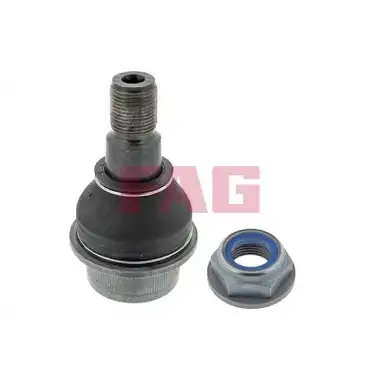 FAG Rotil Alt (12196 / 18875 03) - VW Grubu (VW/Audi/Seat/Skoda) 825 0123 10