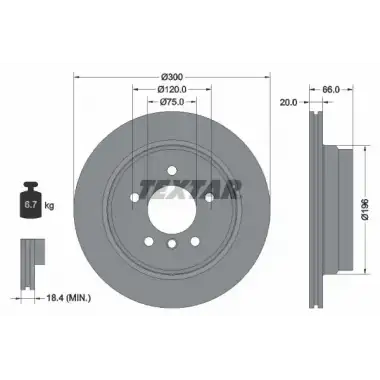 TEXTAR Fren Diski Arka (Adet) - BMW / Mini TX 92154903