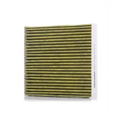 EUROREPAR Polen Filtresi (Karbonlu) (1690955480) - BMW / Mini