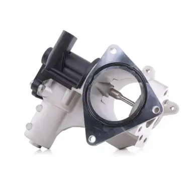 AISIN EGR Valfi (710575d) - VW Grubu (VW/Audi/Seat/Skoda) AIS EGRAZ-7077