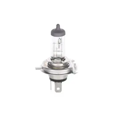 BOSCH Ampul (Plus 50 WS) (1987302049)