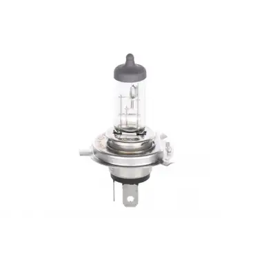 BOSCH Ampul (Plus 50 WS) (1987302049)