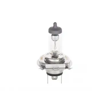 BOSCH Ampul (Plus 50 WS) (1987302049)