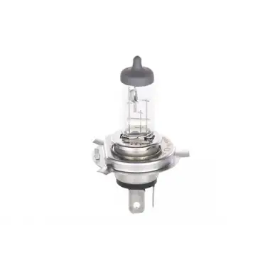 BOSCH Ampul (Plus 50 WS) (1987302049)