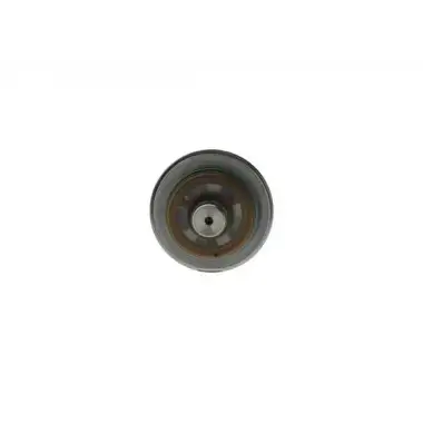 BOSCH Yakıt Basınç Regülatörü (F000DR0209) - Opel