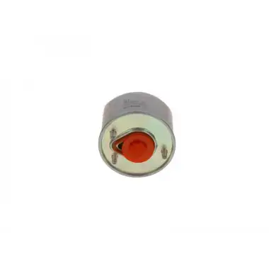 BOSCH Yakıt Filtresi (DV6 Euro 5) - Ford F026402864