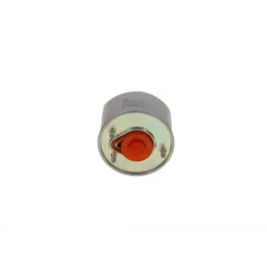 BOSCH Yakıt Filtresi (DV6 Euro 5) - Ford F026402864