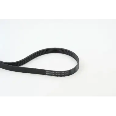 CONTITECH V Kayışı (6PK 1244) - Opel