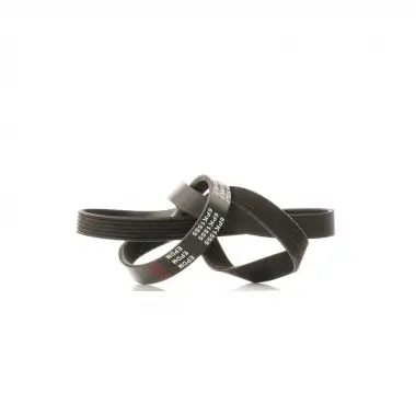 DAYCO V Kayışı ((1340275)/55563926) - Ford 6PK1555