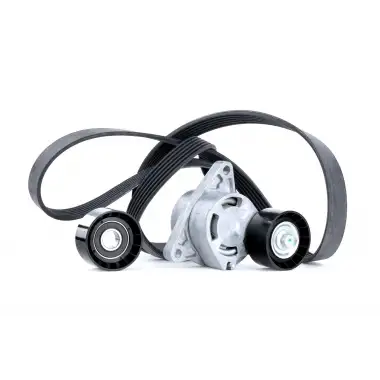 DAYCO V Kayışı (V Kayisi-kanalli Kayış) (6PK1795) - Renault / Dacia
