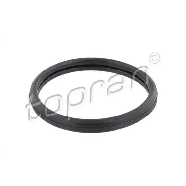 ELRING Oring (O Ring:termostat) - Ford 025.870