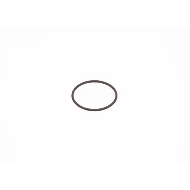 ELRING O-ring (Enjektör Pompa Oringi) - Ağır Vasıta 152.610