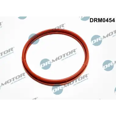 ELRING Emme Manifold Oringi (575.500) - Ford
