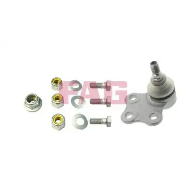FAG Rotil Alt (825 0117 10) - Opel