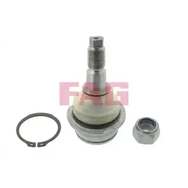 FAG Rotil Üst - VW Grubu (VW/Audi/Seat/Skoda) 825 0147 10