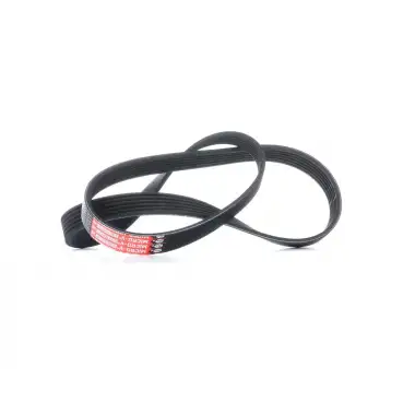 FEBI BILSTEIN V Kayışı ((6PK 1019)) - Ford 38245