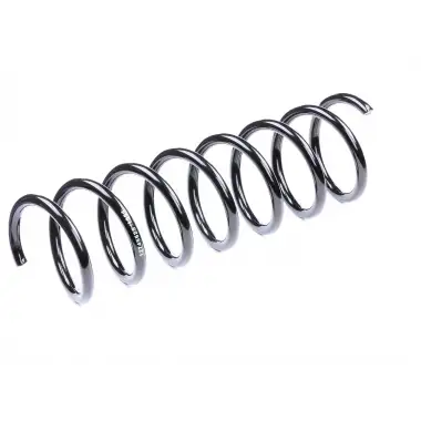 FEBI BILSTEIN Helezon Yayı Arka (39725) - Ford