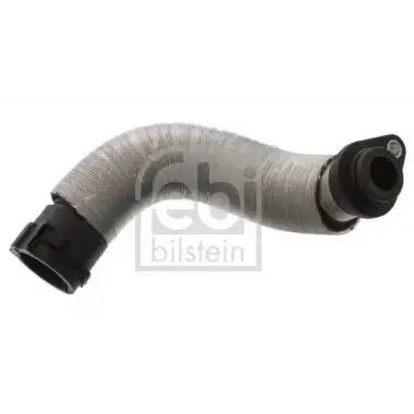 FEBI BILSTEIN Su Hortumu - BMW / Mini 45281