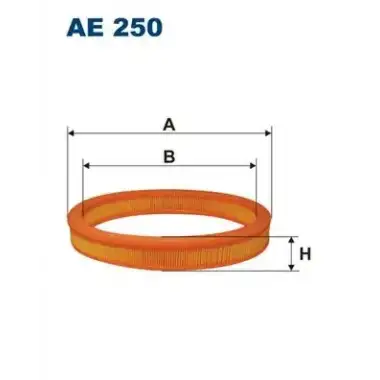 FILTRON Hava Filtresi (AE 250) - Ford