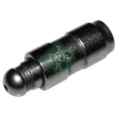 INA Supap Iticisi (Itecek Kadehi) (420 0172 10) - VW Grubu (VW/Audi/Seat/Skoda)