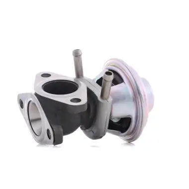 KALE EGR Valfi (Euro 4) - Fiat / Alfa / Lancia 348915