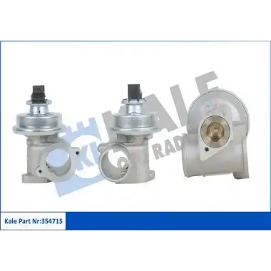 KALE EGR Valfi (354715) - Ford